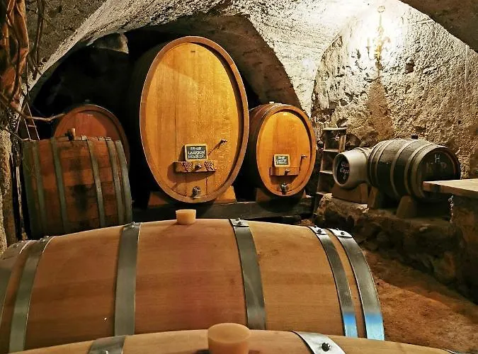 Chasa De Capol - Historische Gaststaette & Weinkellerei