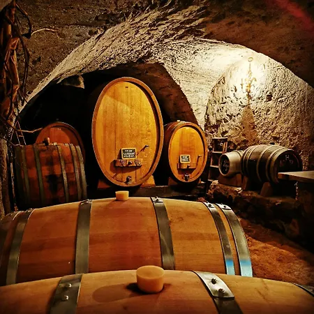 Chasa De Capol - Historische Gaststaette & Weinkellerei 3* サンタ・マリア・ヴァル・ミュシュタイアー